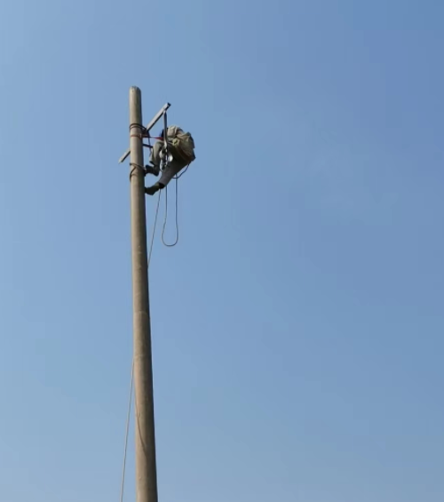 淮安鲜淳牧业有限公司配电工程